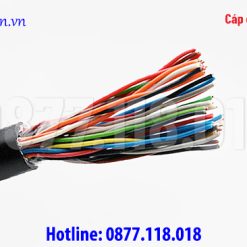 Cáp điện thoại 30 đôi Z43 BQP 0.5x2x30