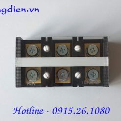 Cầu đấu điện Hanyoung HYT-1003 100A