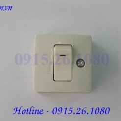 Công tắc đơn B loại nổi Panasonic WSG3001