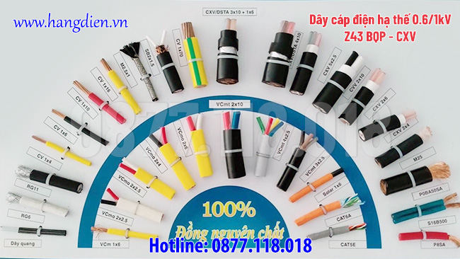 Dây cáp điện hạ thế Z43 BQP - CXV - Ảnh 4