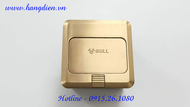 Ổ cắm điện âm sàn GD1Z225 Bull