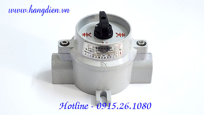 Công tắc điện phòng nổ SW-10 - Ảnh 3