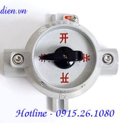 Công tắc điện phòng nổ SW-10