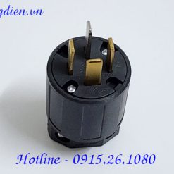 Phích cắm điện 4P 20A Denki 9222N