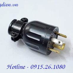 Phích cắm móc nối đất 3P 20A Denki 4222R